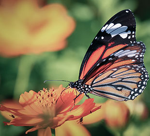 轰炸电话号码网站