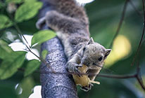 地区定制的手机号测压app